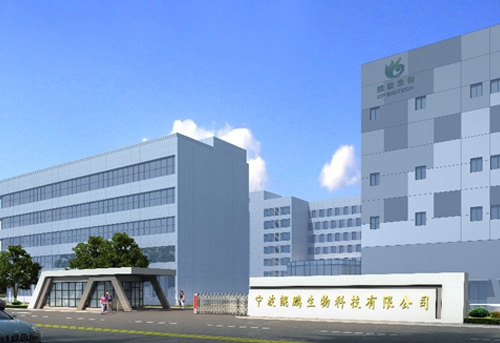 宁波k8·凯发