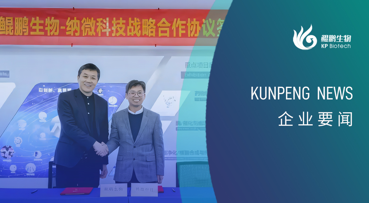 k8·凯发生物与纳微科技达成战略合作：深耕底层技术的双向奔赴